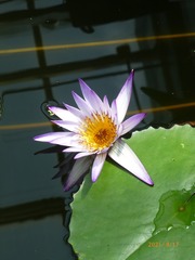 1E6305EE-09FA-45A6-977A-139D4EE1B42B/L0/001