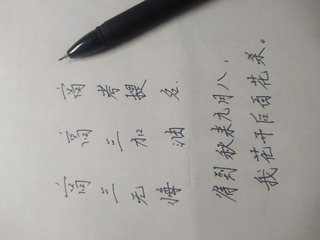 89132