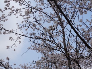 8603E93E-1FD1-4D72-A609-C729EC94D690/L0/001