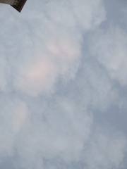 728918