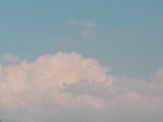 1137676