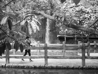 032D96AC-EF35-429C-A901-89A16F370950/L0/001