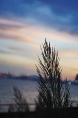 BFD034A1-EF1D-4C52-929C-2F6EECDD32E6/L0/001