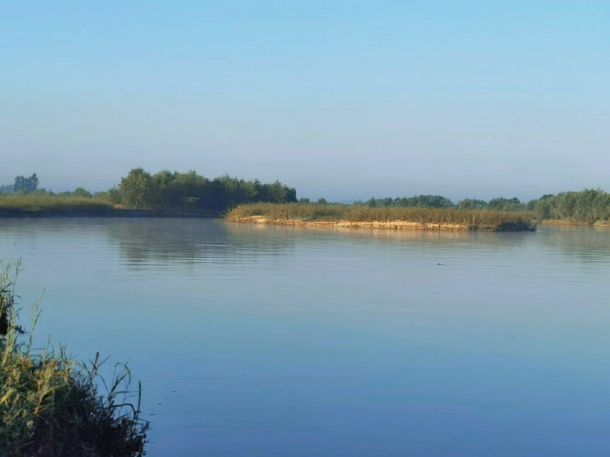 河之美为绿草扶衬