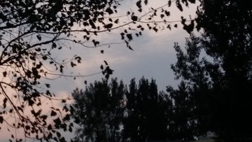 249733