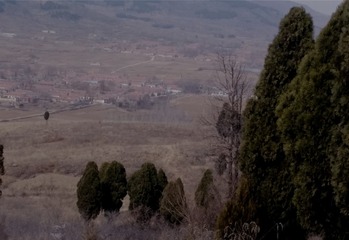 262596