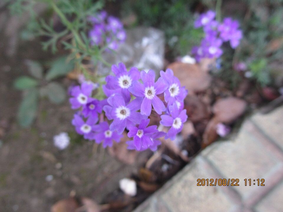 这是我<br />
