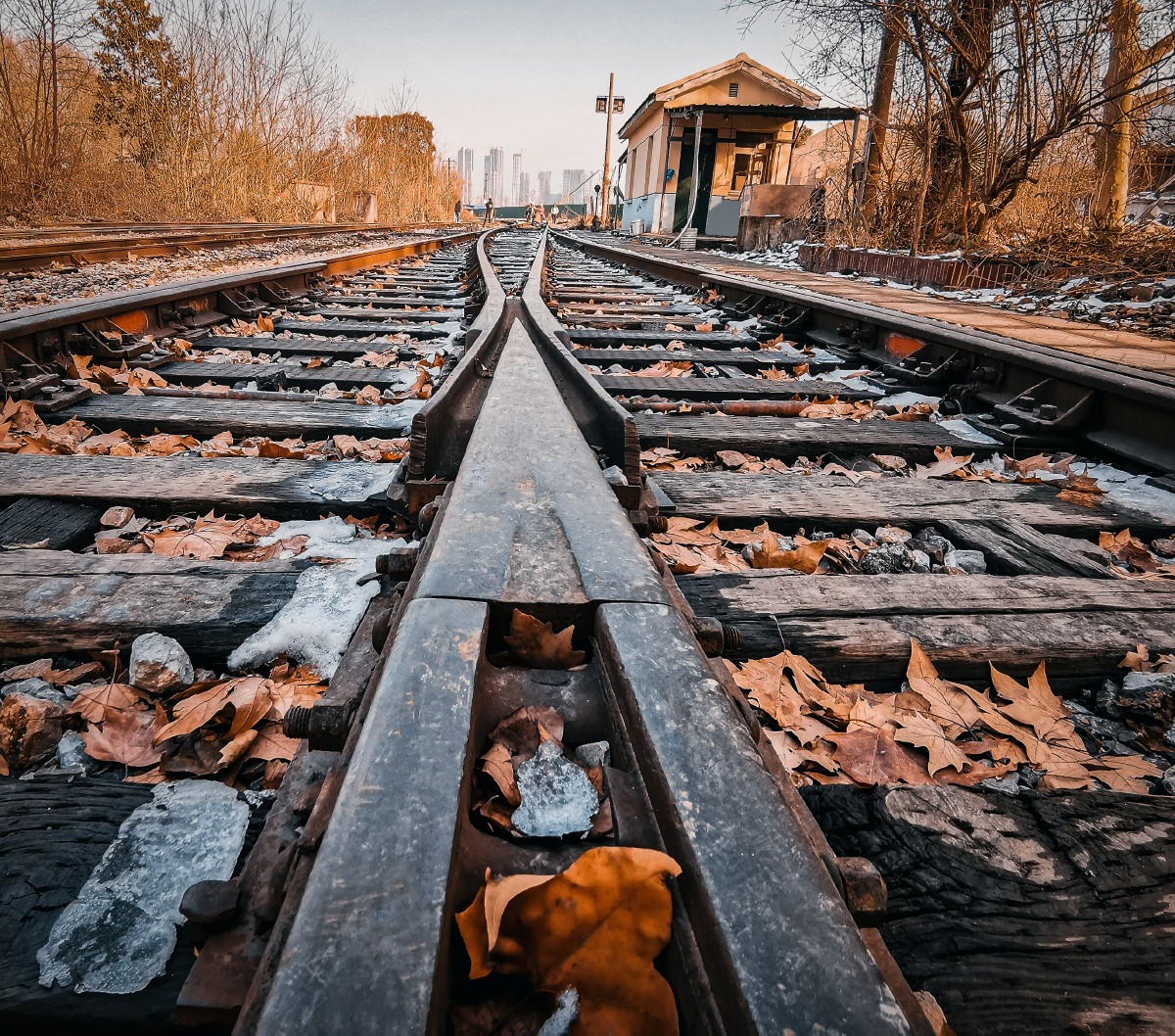 快来当第一个打赏的人吧#铁轨铁路时间南京废弃落叶光阴拿起手机人人