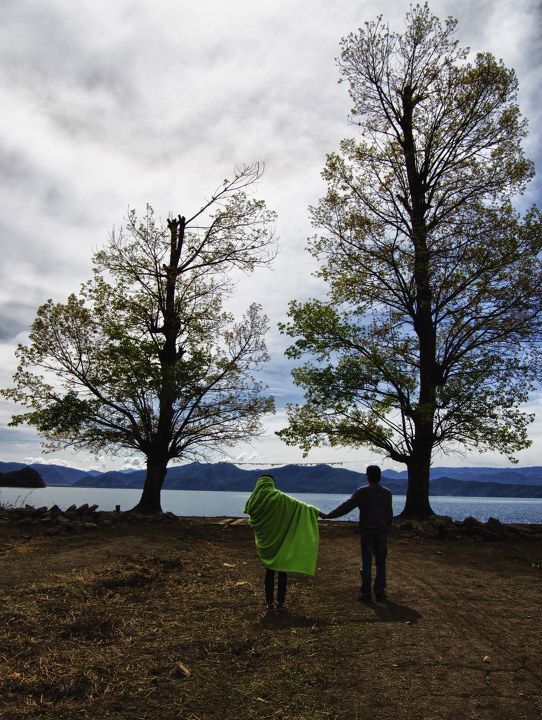 泸沽湖情人树