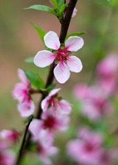20120404-IMGP0445.jpg