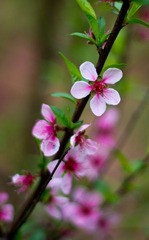 20120404-IMGP0447.jpg