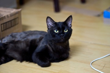 20120605-IMGP2182.jpg