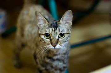 20120616-IMGP2190.jpg