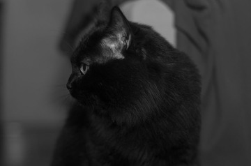 20130121-IMGP2878.jpg