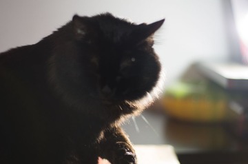 20130121-IMGP2883.jpg