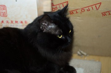 20130121-IMGP2887.jpg