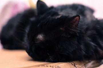 20130312-IMGP3035.jpg