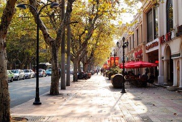 DSC_0047_1.jpg