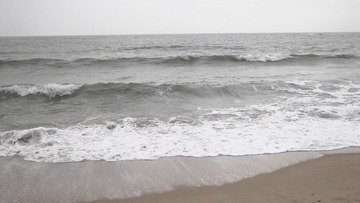 FD97E5D1-F51D-4D47-8368-A516F12024B1/L0/001