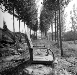 Untitled-19.jpg