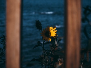 30365