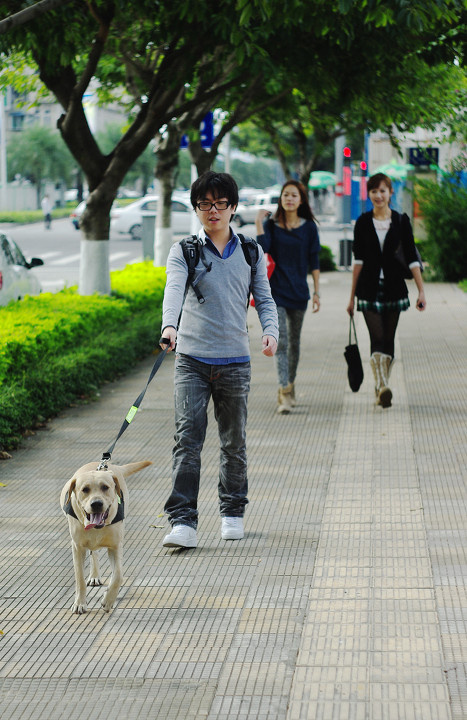 这是人遛狗还是狗溜人<br /> br />