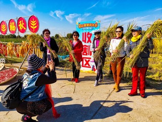 http://t.sina.com.cn/1066981102
