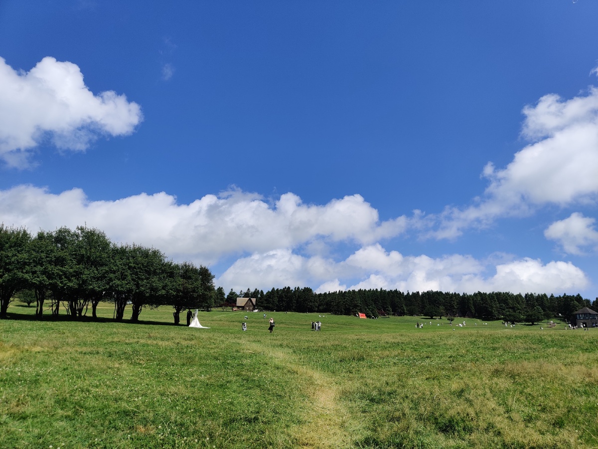 重庆武隆仙女山大草原