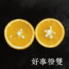 E64E199B-0A89-4007-BAFF-149979FB9065/L0/001