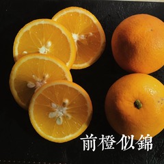 2E644769-1C88-4122-8AE2-9B87AB3E2182/L0/001