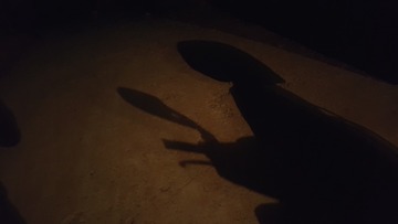 2774927