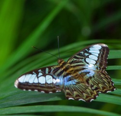 _DSC2376副本.jpg
