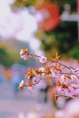 7BE0B903-809F-4D3C-85E9-B248E13D7536/L0/001