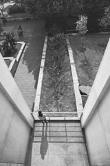 _DSC9181wb.jpg