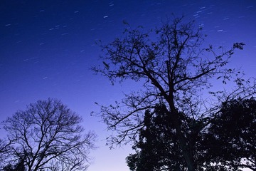 _DSC0069.jpg