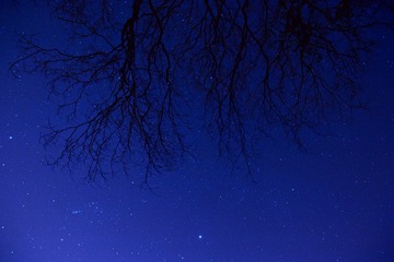 _DSC0080.jpg