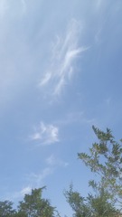 1204852