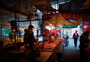 _0011919.jpg