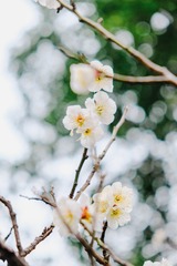 C948D850-B98C-4CB8-AA00-2D5D7BB2AAA2/L0/001