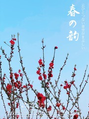 19C70BCE-D4F4-460A-9CF2-07CE67CE929A/L0/001