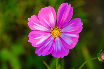 CC792FE6-415B-45BF-A516-AC55E90FE171/L0/001