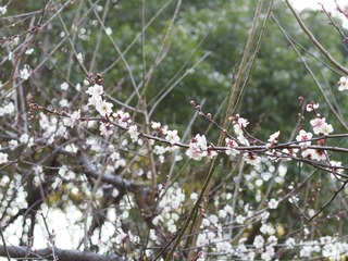22F0AE8A-850E-467C-B9BB-526242BC48B7/L0/001