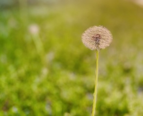 EBA2DBED-1F9A-43E2-9382-E24D13360ED2/L0/001