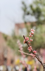 D68896D3-0A1F-4590-AFA4-521D9CE16900/L0/001