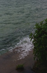 76554C6C-3DE4-416B-8715-E024A4583906/L0/001