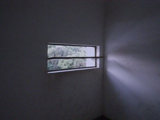 _0022994.jpg