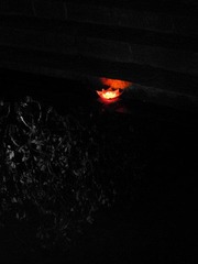 DSCN4125.jpg