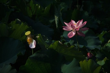 001