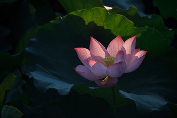 001