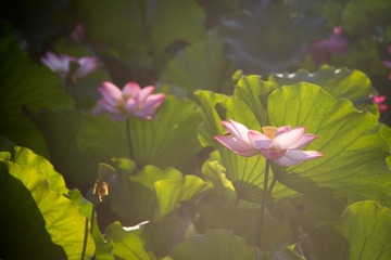 001